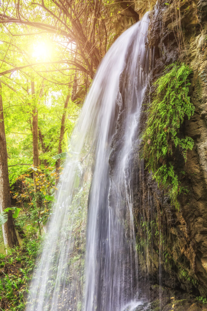 Ein sonnendurchfluteter Wasserfall stürzt in einem üppig grünen Wald eine moosbewachsene Felswand hinab.