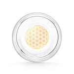 Ein klares Trinkglas von oben fotografiert, mit einer goldenen Blume des Lebens auf dem Boden.