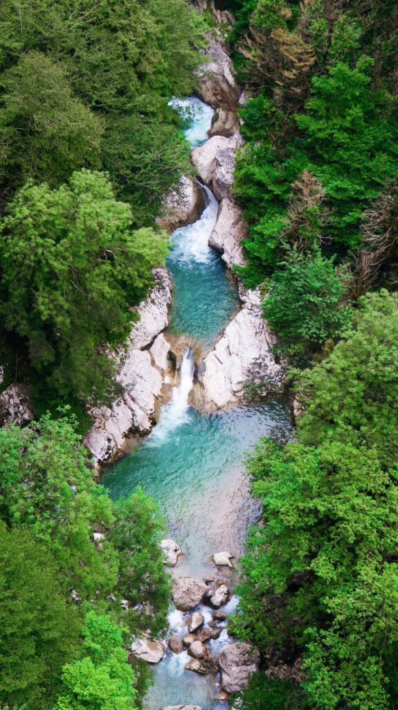Ein klarer, blauer Gebirgsbach fließt durch eine Schlucht mit üppig grünen Bäumen.
