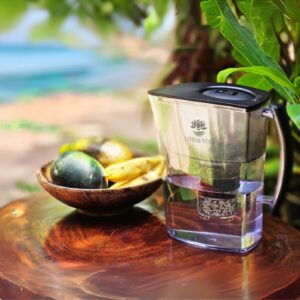 Eine transparente Wasserfilter-Kanne von Lotus Vita, gefüllt mit frischem Wasser, auf einem Holztisch in einer tropischen Umgebung am Meer.